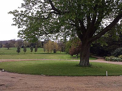 the garden view at letheringsett hall  residential care home - holt